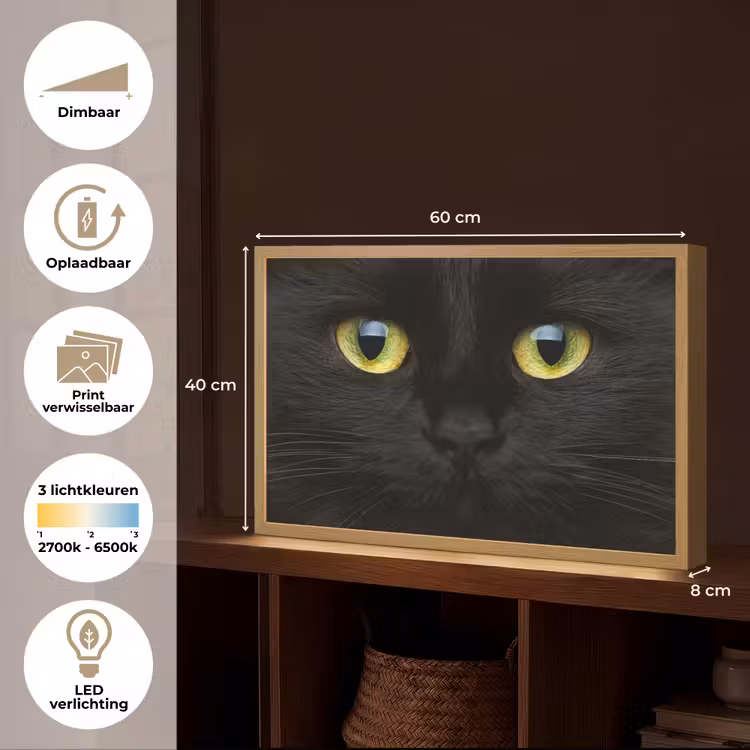 Lightbox - Wandlamp - Kat - Zwart - Dieren - Natuur — 10