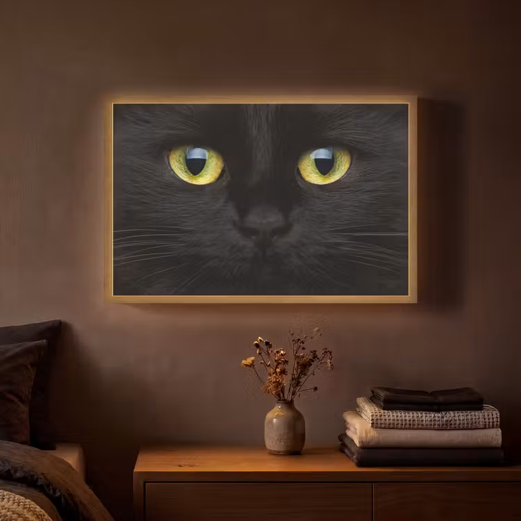 Lightbox - Wandlamp - Kat - Zwart - Dieren - Natuur — 3