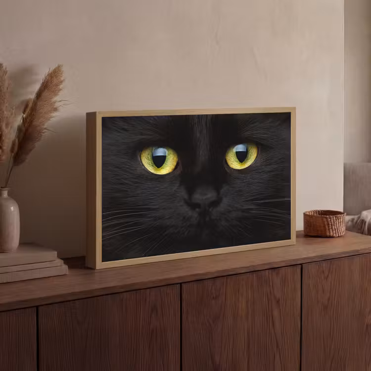 Lightbox - Wandlamp - Kat - Zwart - Dieren - Natuur — 4