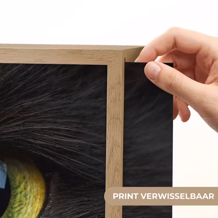 Lightbox - Wandlamp - Kat - Zwart - Dieren - Natuur — 5