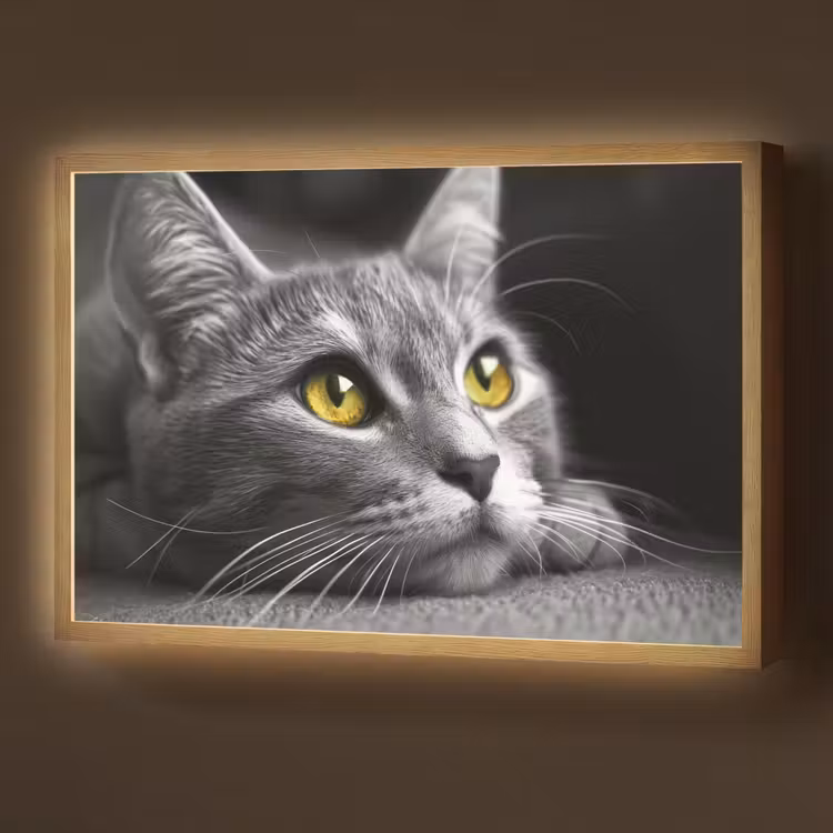 Lightbox - Wandlamp - Kat - Zwart - Wit - Dieren - Natuur — 1