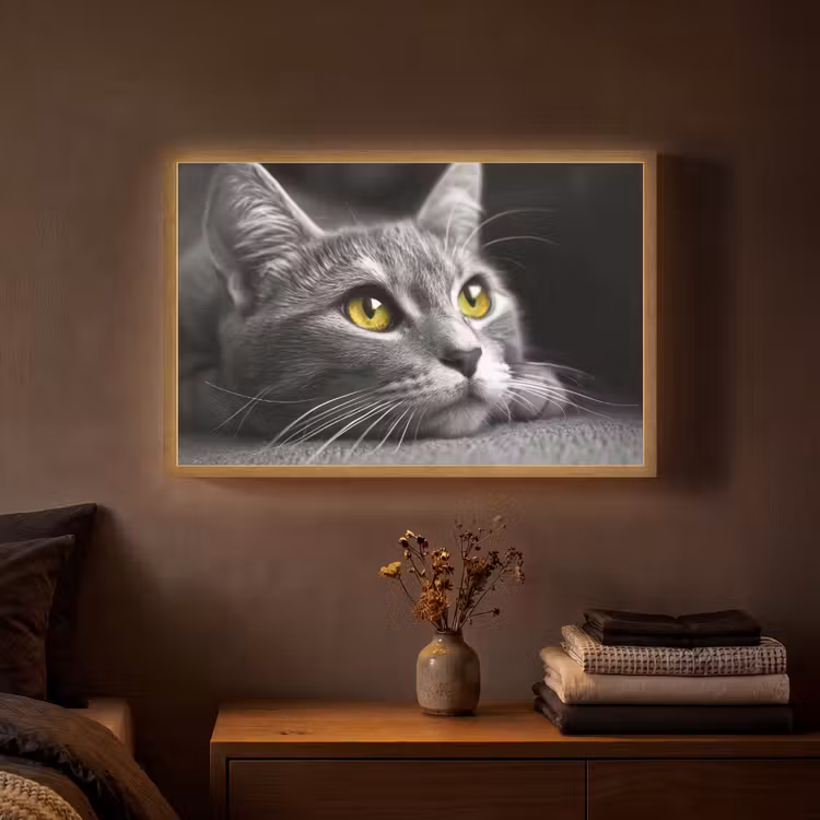 Lightbox - Wandlamp - Kat - Zwart - Wit - Dieren - Natuur — 3