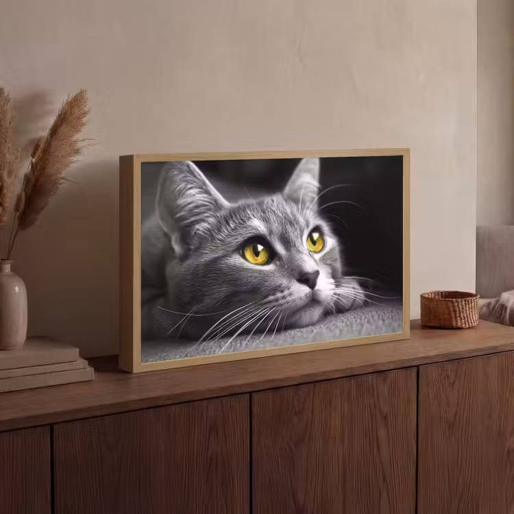 Lightbox - Wandlamp - Kat - Zwart - Wit - Dieren - Natuur — 4
