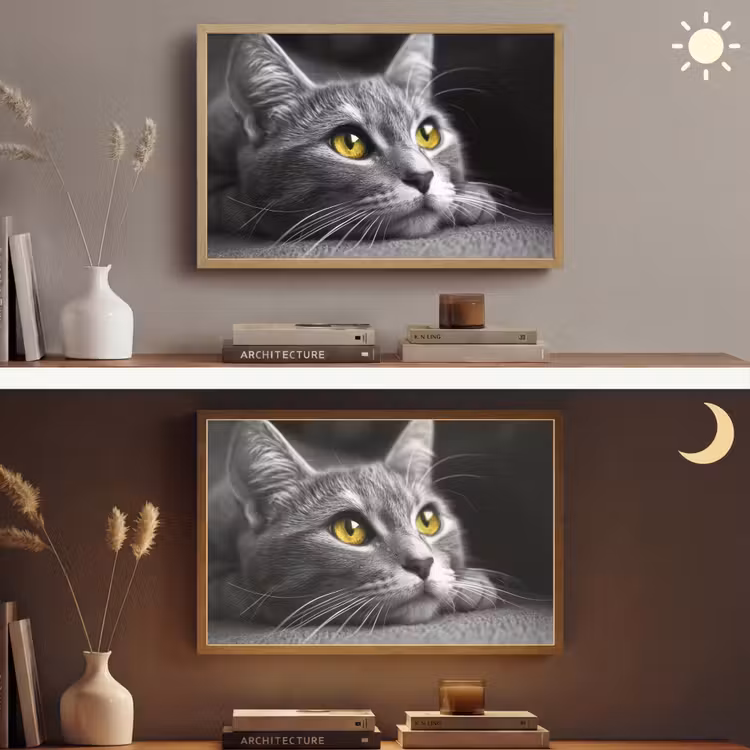 Lightbox - Wandlamp - Kat - Zwart - Wit - Dieren - Natuur — 6