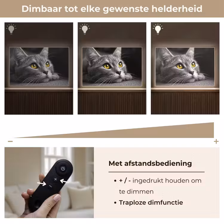 Lightbox - Wandlamp - Kat - Zwart - Wit - Dieren - Natuur — 9