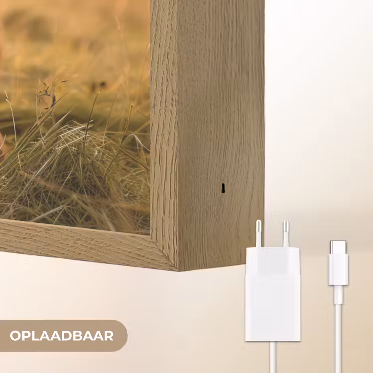 Lightbox - Wandlamp - Koe - Dier - Weiland - Gras - Dieren - Natuur — 7