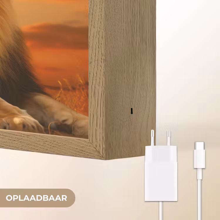 Lightbox - Wandlamp - Leeuwen - Zonsondergang - Afrika - Savanne - Dieren — 7
