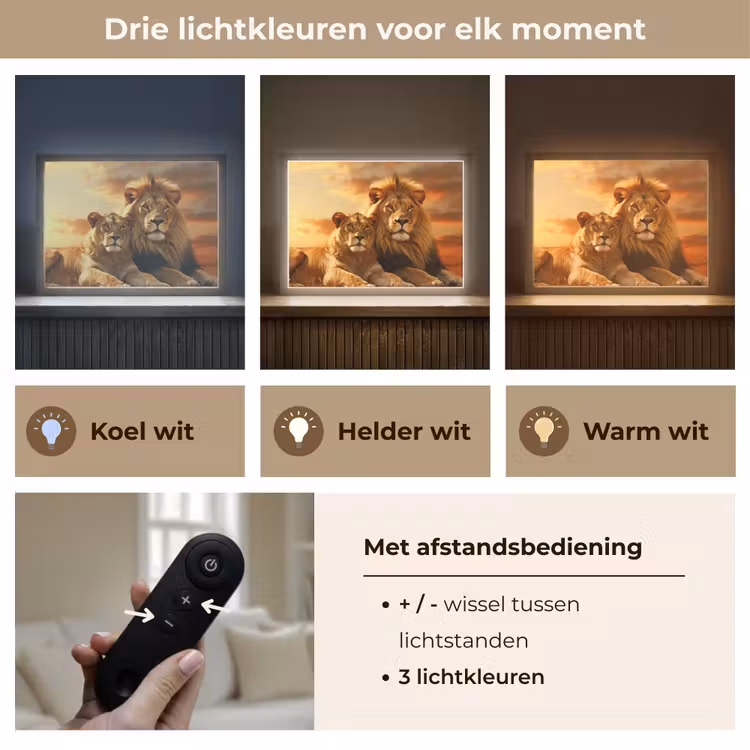 Lightbox - Wandlamp - Leeuwen - Zonsondergang - Afrika - Savanne - Dieren — 8