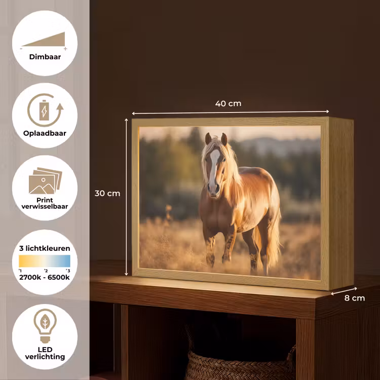 Lightbox - Wandlamp - Paard - Bruin - Natuur - Weiland - Dier — 10