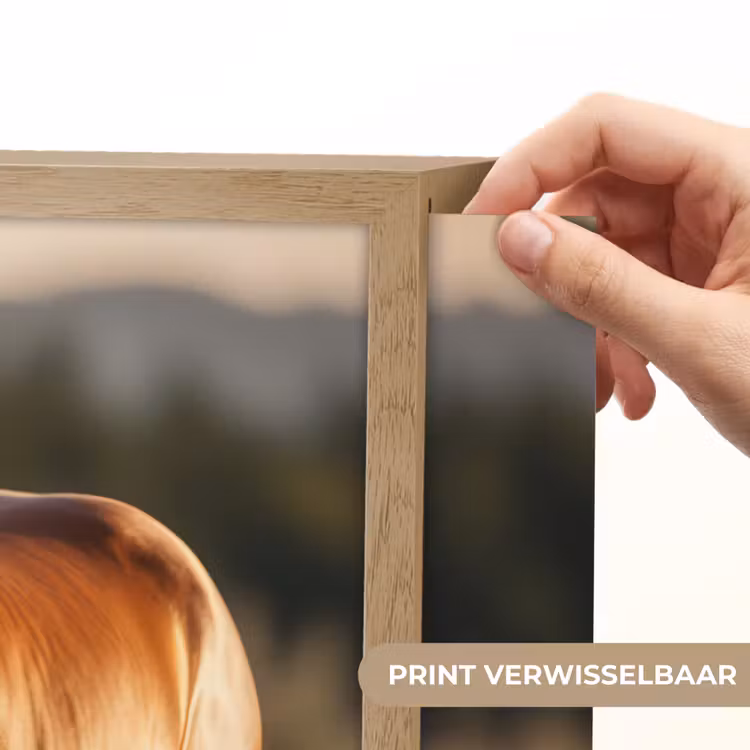 Lightbox - Wandlamp - Paard - Bruin - Natuur - Weiland - Dier — 5