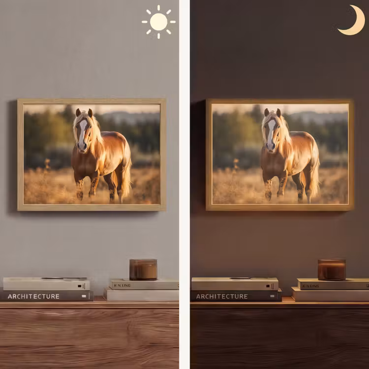 Lightbox - Wandlamp - Paard - Bruin - Natuur - Weiland - Dier — 6