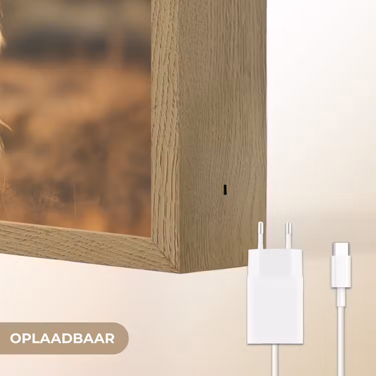 Lightbox - Wandlamp - Paard - Bruin - Natuur - Weiland - Dier — 7