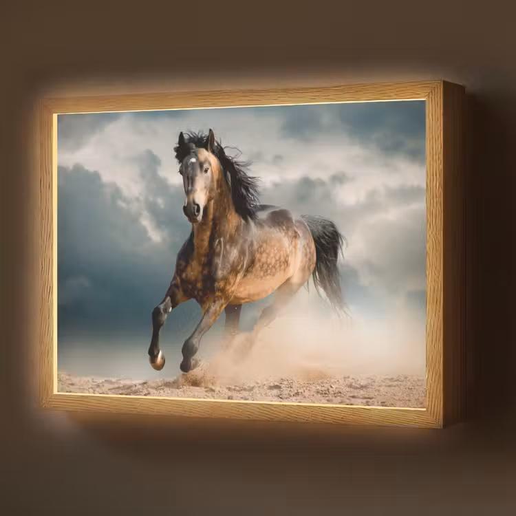 Lightbox - Wandlamp - Paard - Dieren - Bruin - Natuur — 1