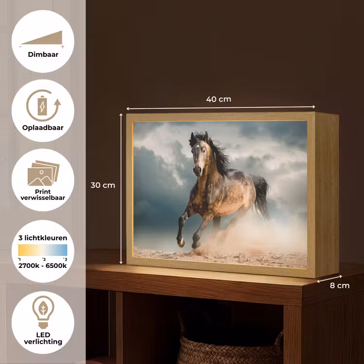 Lightbox - Wandlamp - Paard - Dieren - Bruin - Natuur — 10