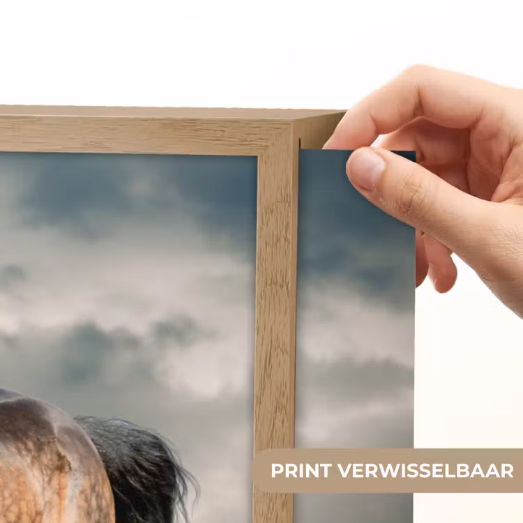 Lightbox - Wandlamp - Paard - Dieren - Bruin - Natuur — 5