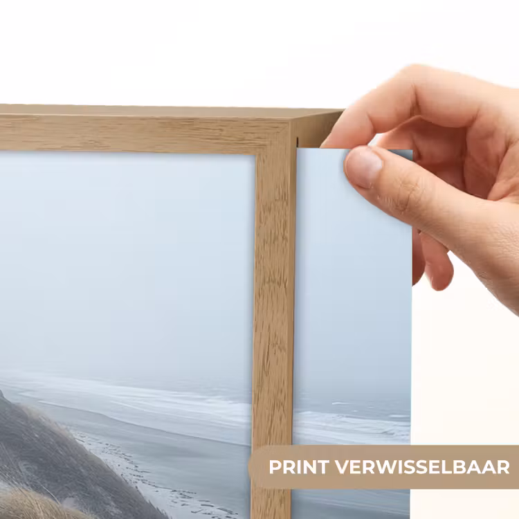 Lightbox - Wandlamp - Duinen - Strand - Planten - Natuur — 5