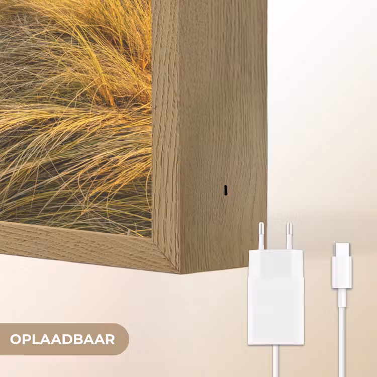 Lightbox - Wandlamp - Gras - Duinen - Strand - Zomer — 7