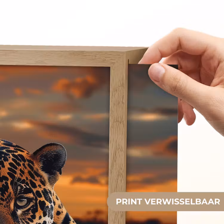 Lightbox - Wandlamp - Natuur - Luipaard - Dier - Zonsondergang - Modern — 5