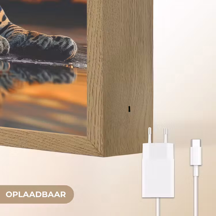 Lightbox - Wandlamp - Natuur - Luipaard - Dier - Zonsondergang - Modern — 7