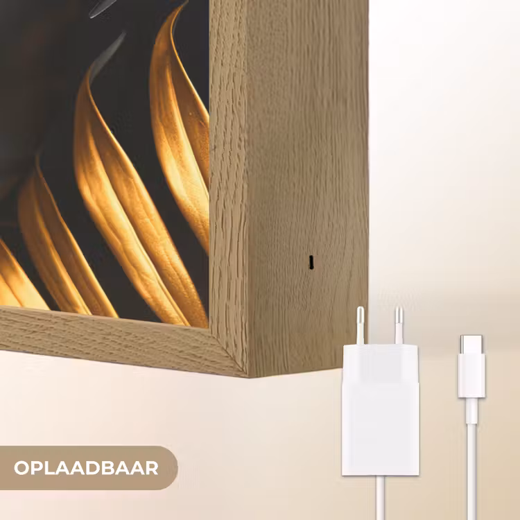 Lightbox - Wandlamp - Vrouw - Goud - Natuur - Portret - Modern — 7