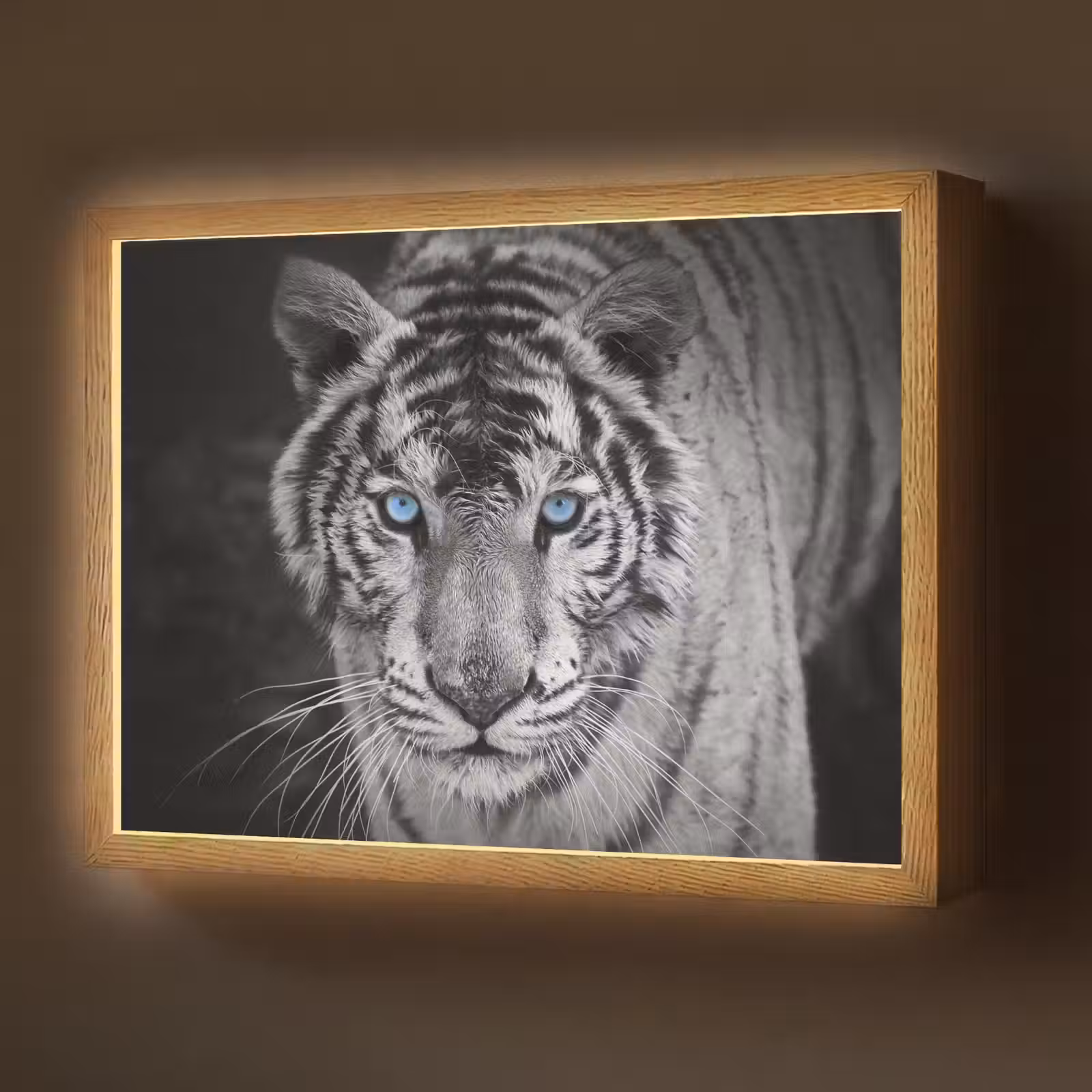 Lightbox - Wandlamp - Tijger - Dier - Zwart - Blauw - Modern — 1
