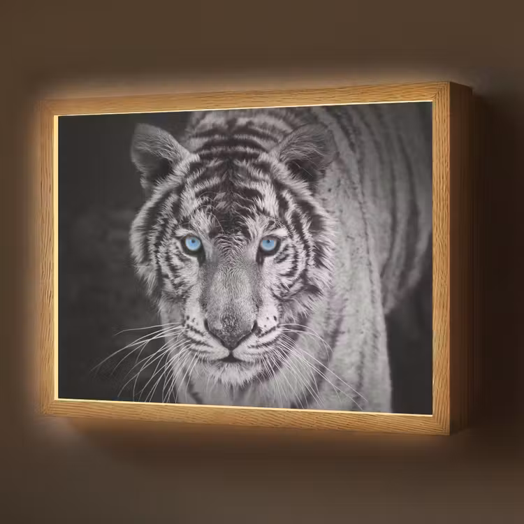 Lightbox - Wandlamp - Tijger - Dier - Zwart - Blauw - Modern — 1