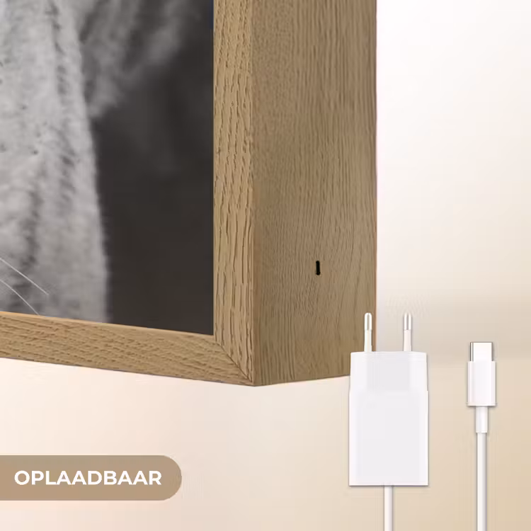 Lightbox - Wandlamp - Tijger - Dier - Zwart - Blauw - Modern — 7