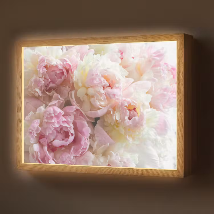 Lightbox - Wandlamp - Vintage - Bloemen - Rozen - Natuur — 1