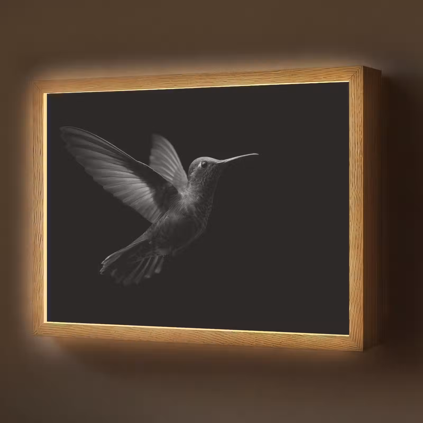 Lightbox - Wandlamp - Kolibrie - Zwart - Dieren — 1