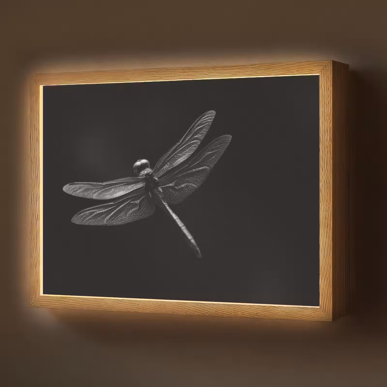 Lightbox - Wandlamp - Libelle - Dieren - Zwart - Insect — 1