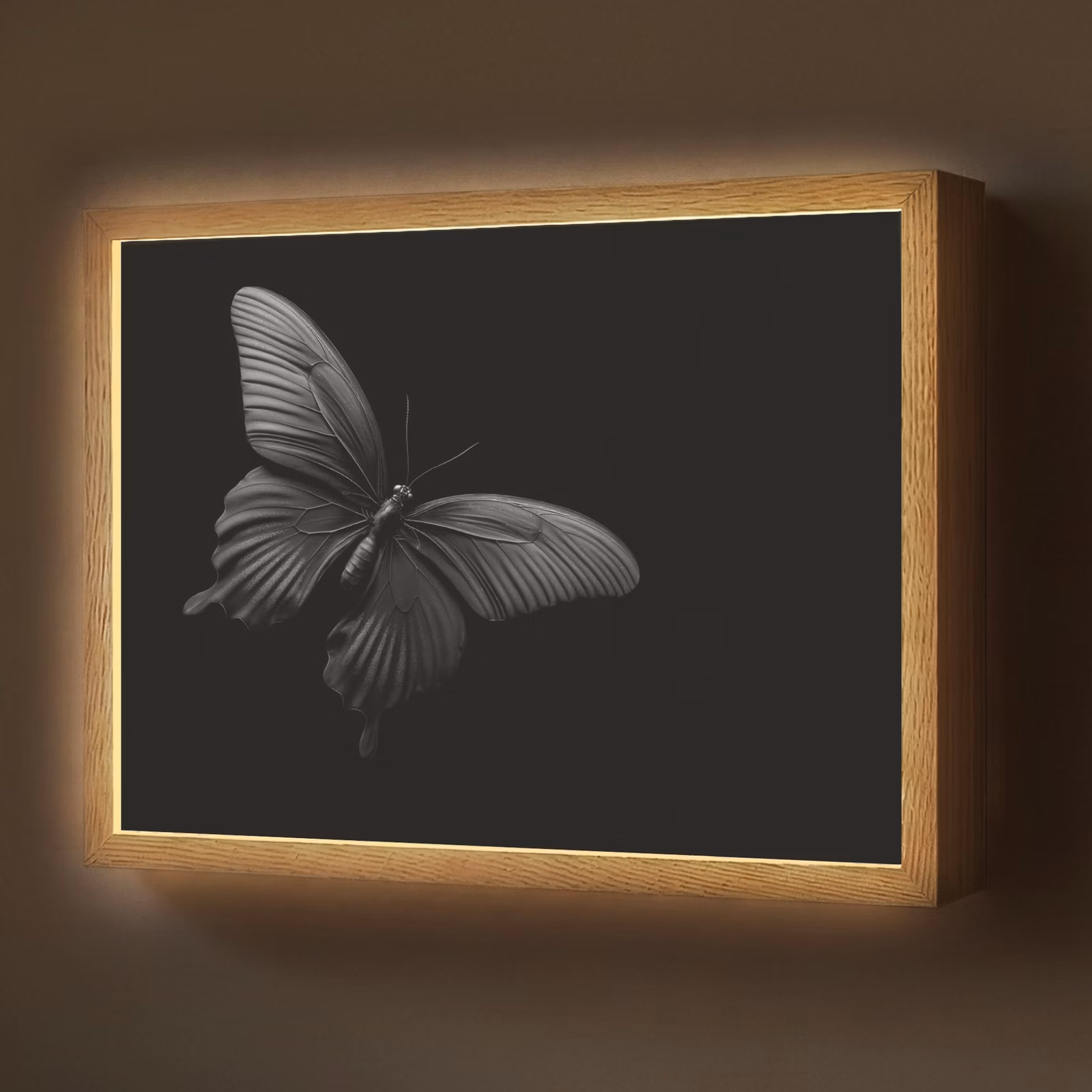 Lightbox - Wandlamp - Vlinder - Zwart - Insect - Dieren — 1