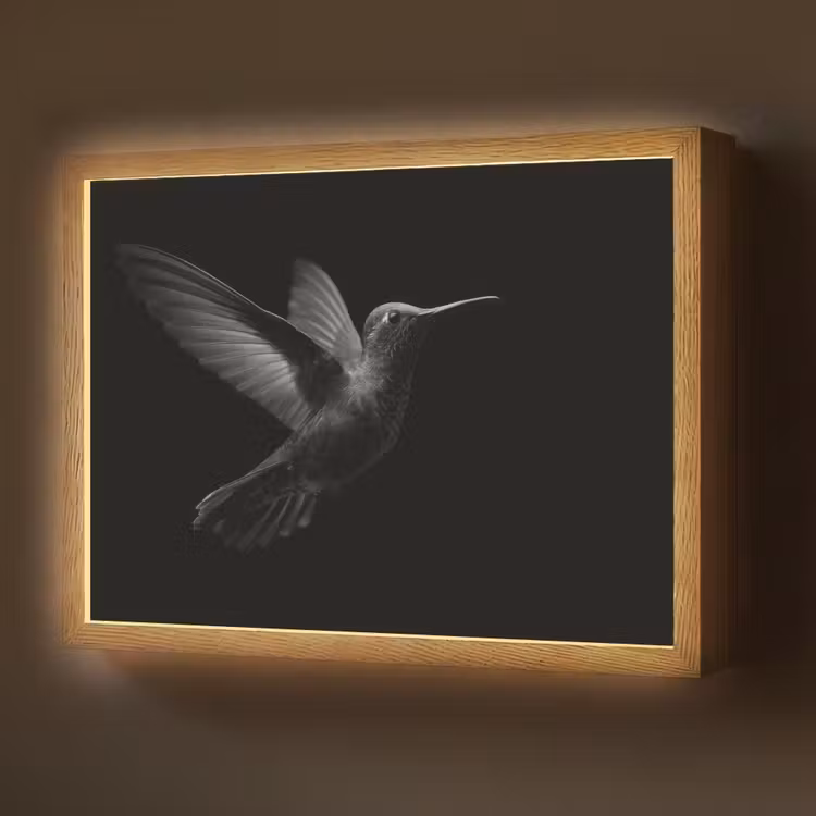 Lightbox - Wandlamp - Kolibrie - Zwart - Dieren — 1