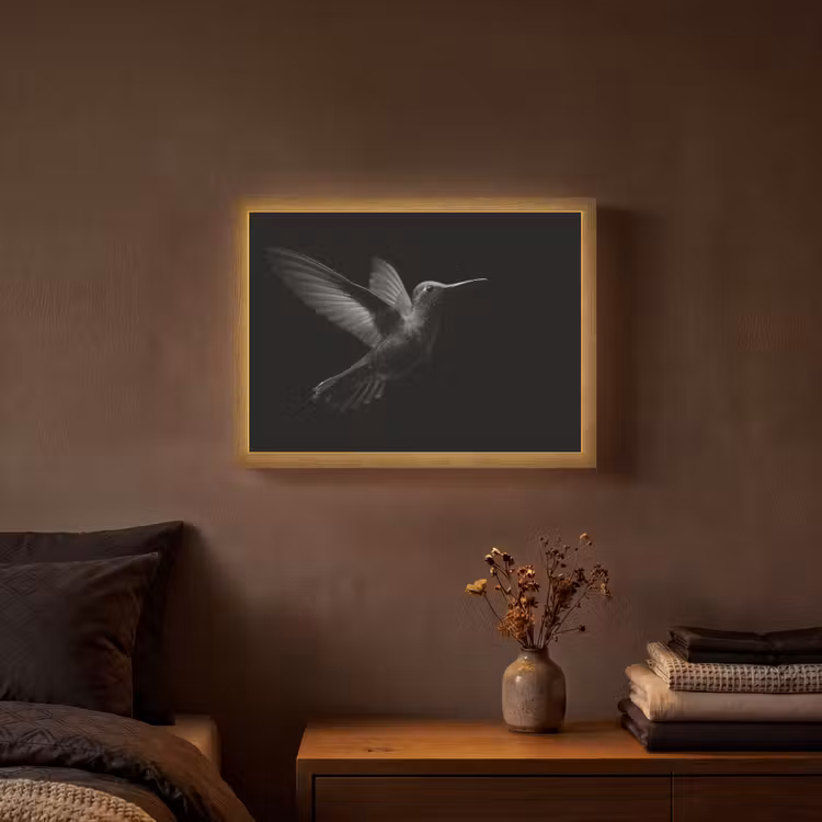 Lightbox - Wandlamp - Kolibrie - Zwart - Dieren — 3