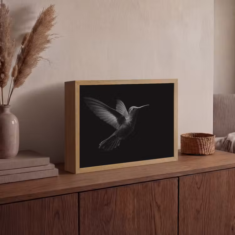Lightbox - Wandlamp - Kolibrie - Zwart - Dieren — 4