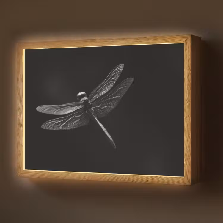 Lightbox - Wandlamp - Libelle - Dieren - Zwart - Insect — 1
