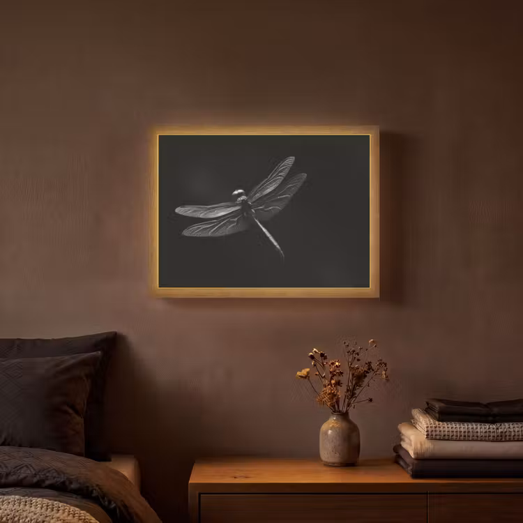 Lightbox - Wandlamp - Libelle - Dieren - Zwart - Insect — 3