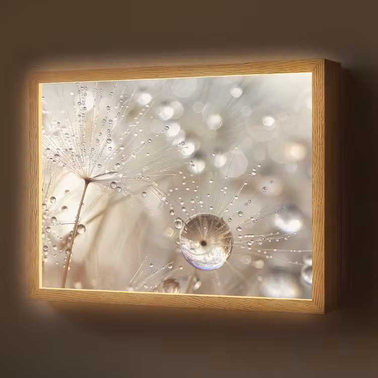 Lightbox - Wandlamp - Natuur - Bloemen - Druppels - Regen — 1
