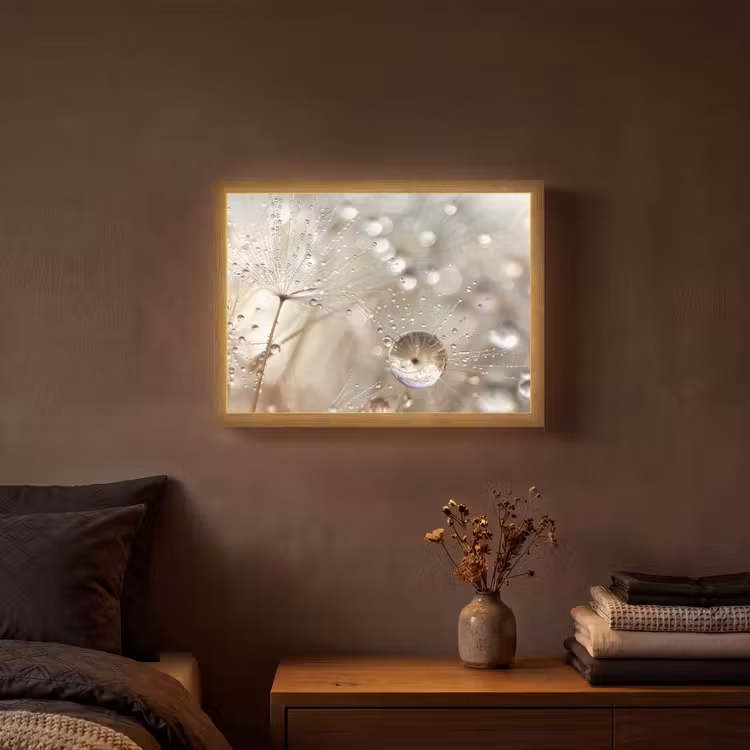 Lightbox - Wandlamp - Natuur - Bloemen - Druppels - Regen — 3