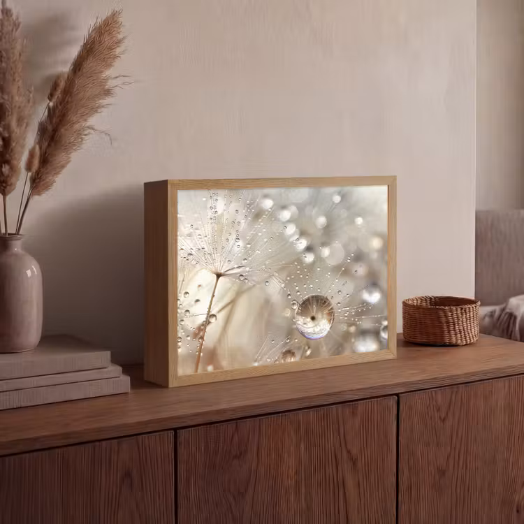 Lightbox - Wandlamp - Natuur - Bloemen - Druppels - Regen — 4