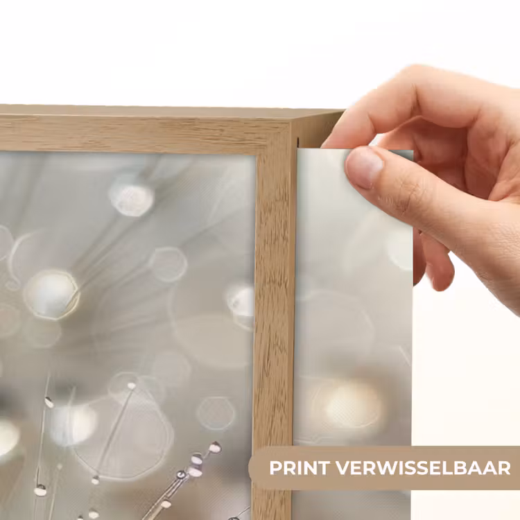 Lightbox - Wandlamp - Natuur - Bloemen - Druppels - Regen — 5