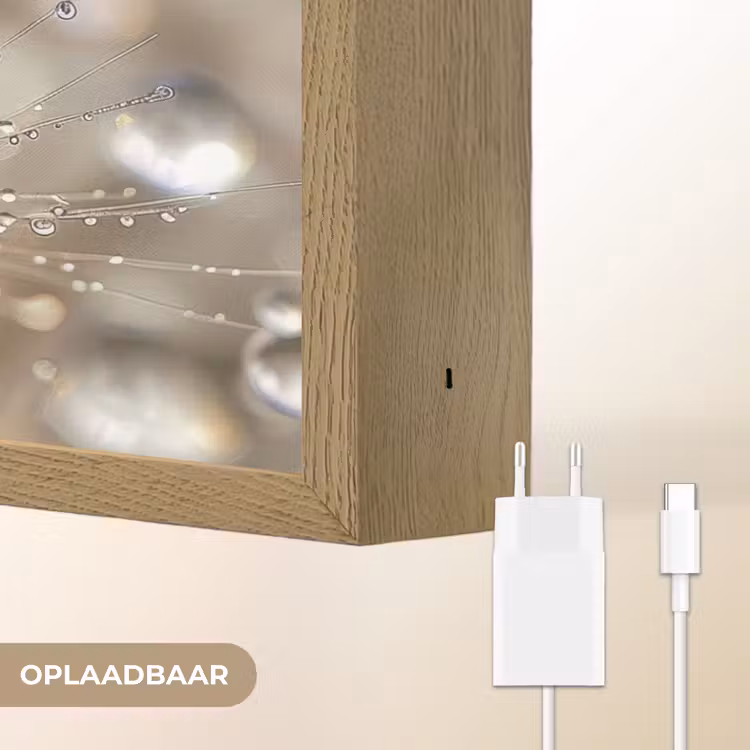Lightbox - Wandlamp - Natuur - Bloemen - Druppels - Regen — 7