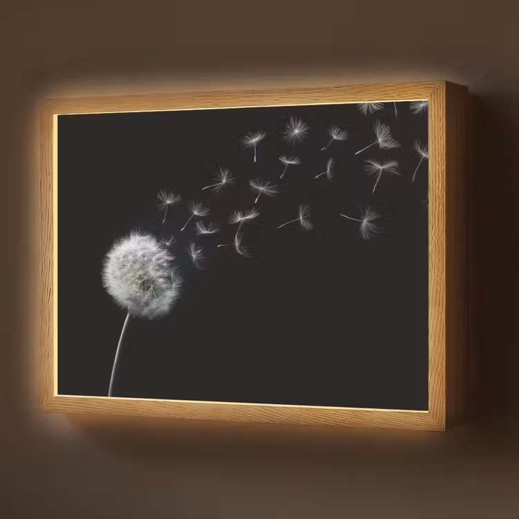 Lightbox - Wandlamp - Paardenbloem - Zwart - Natuur — 1