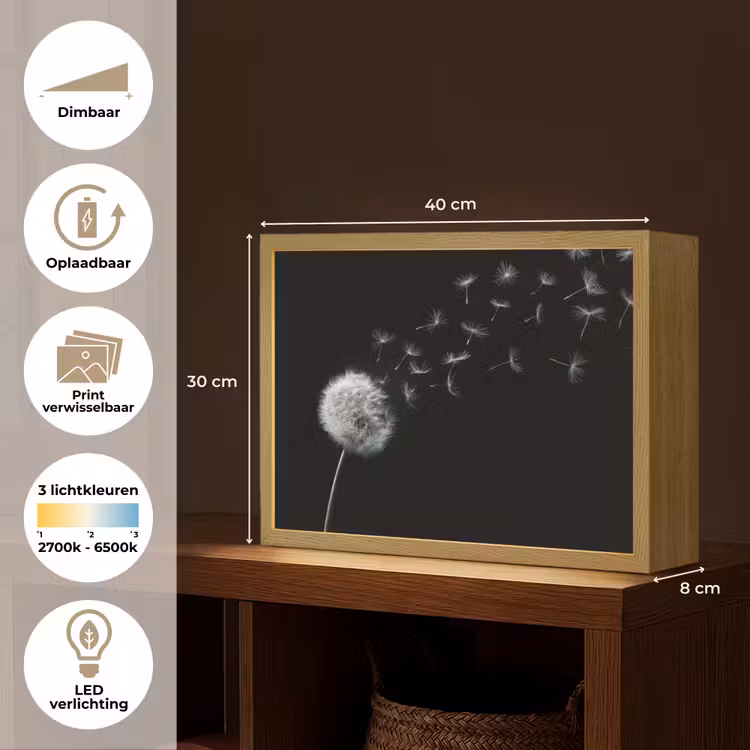 Lightbox - Wandlamp - Paardenbloem - Zwart - Natuur — 10