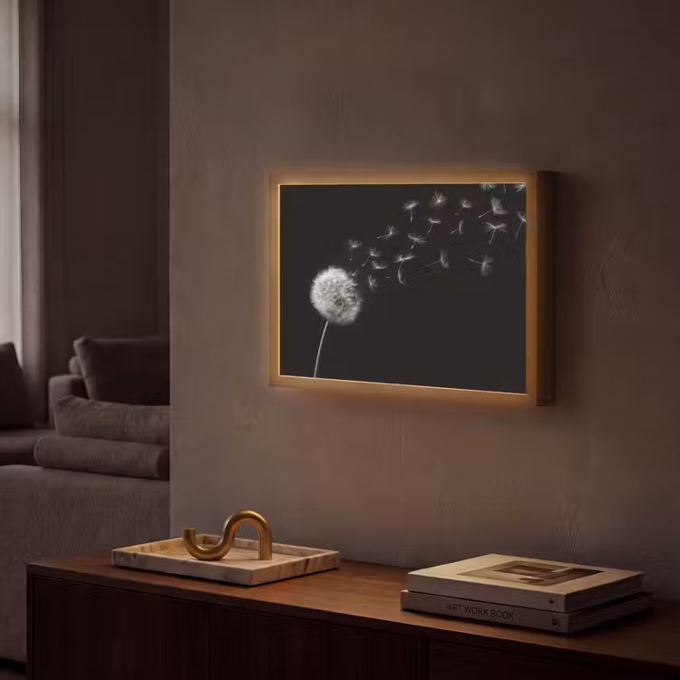 Lightbox - Wandlamp - Paardenbloem - Zwart - Natuur — 2