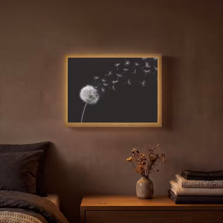 Lightbox - Wandlamp - Paardenbloem - Zwart - Natuur — 3