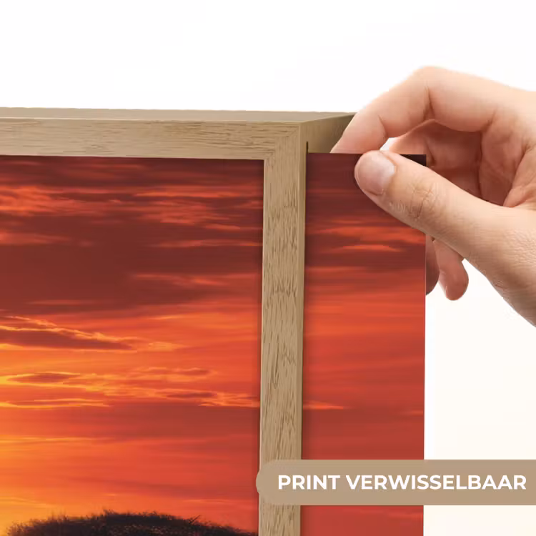 Lightbox - Wandlamp - Savanne - Olifanten - Zonsondergang — 5