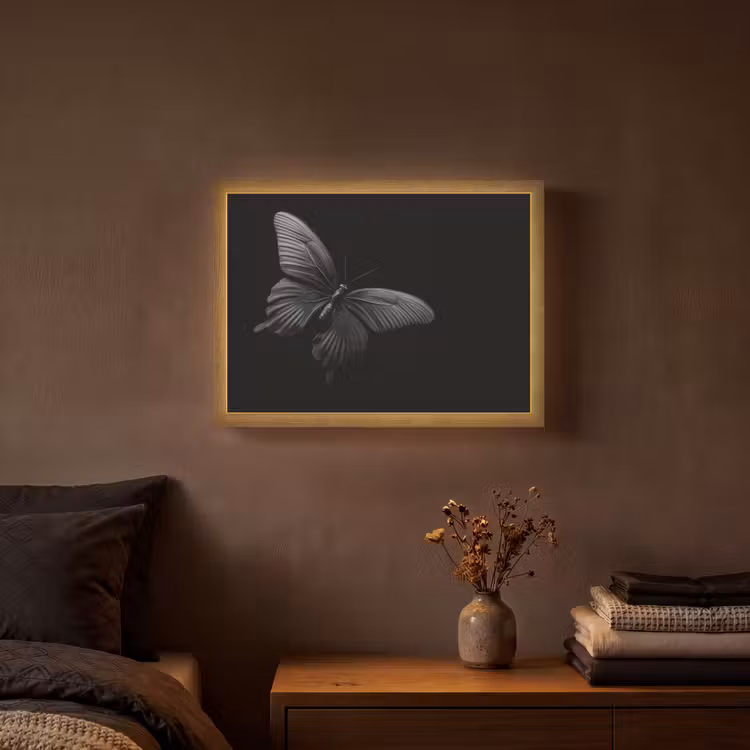 Lightbox - Wandlamp - Vlinder - Zwart - Insect - Dieren — 3