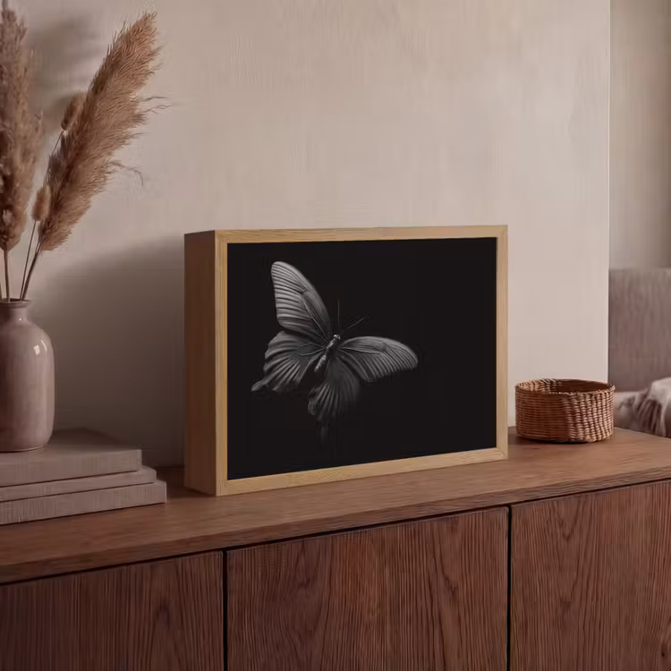 Lightbox - Wandlamp - Vlinder - Zwart - Insect - Dieren — 4