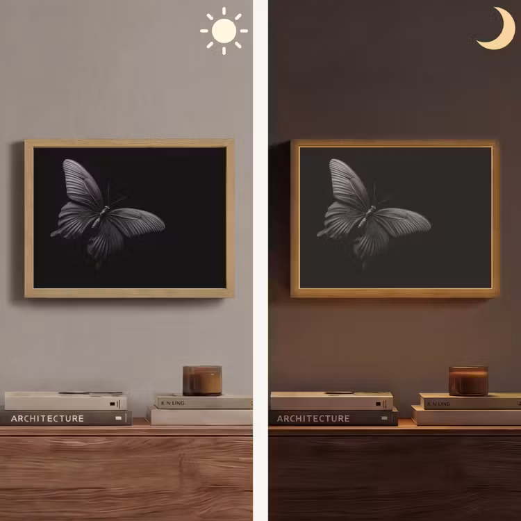 Lightbox - Wandlamp - Vlinder - Zwart - Insect - Dieren — 6