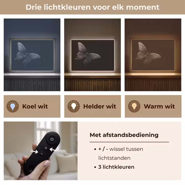 Lightbox - Wandlamp - Vlinder - Zwart - Insect - Dieren — 8